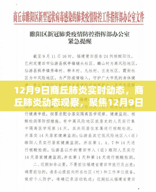 12月9日商丘肺炎实时动态与观点探讨