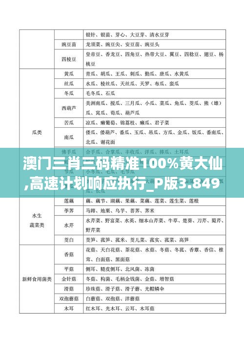 澳门三肖三码精准100%黄大仙,高速计划响应执行_P版3.849