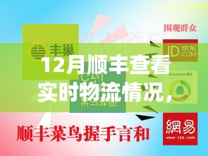 12月顺丰速递实时物流追踪脉络与影响全解析