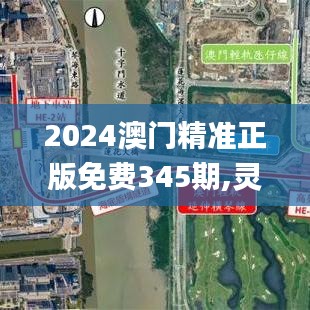 2024澳门精准正版免费345期,灵活操作方案设计_超值版4.592