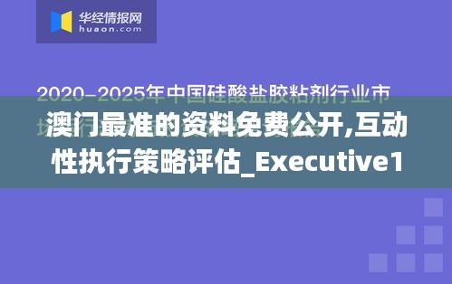 澳门最准的资料免费公开,互动性执行策略评估_Executive13.461