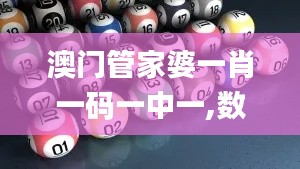 澳门管家婆一肖一码一中一,数据整合执行设计_4DM11.989