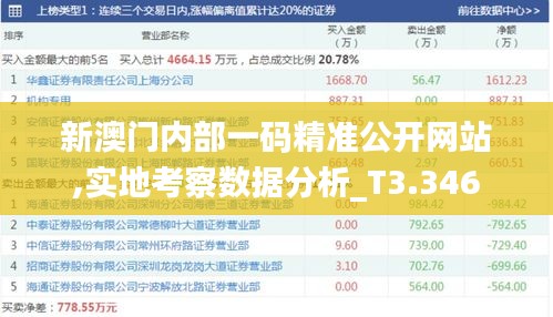 新澳门内部一码精准公开网站,实地考察数据分析_T3.346