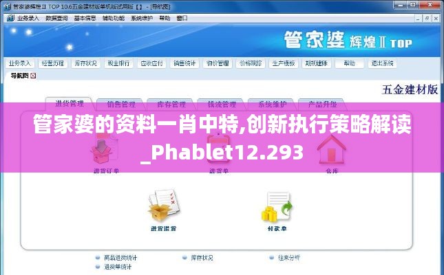 管家婆的资料一肖中特,创新执行策略解读_Phablet12.293