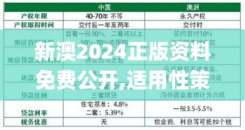 新澳2024正版资料免费公开,适用性策略设计_DP10.224