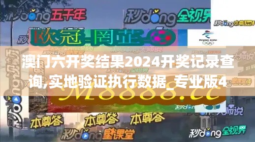 澳门六开奖结果2024开奖记录查询,实地验证执行数据_专业版4.533