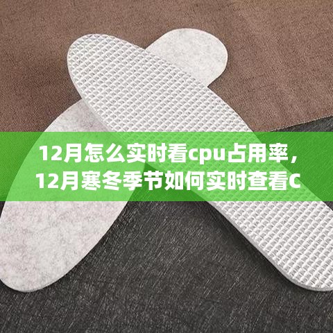 12月寒冬季节实时查看CPU占用率，优化计算机性能指南