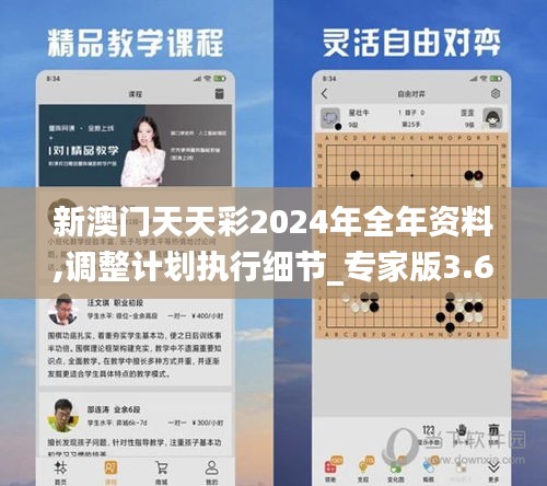 新澳门天天彩2024年全年资料,调整计划执行细节_专家版3.631