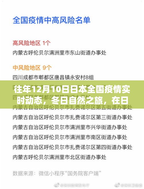 日本疫情动态下的冬日静谧之旅，寻找内心的平和与力量