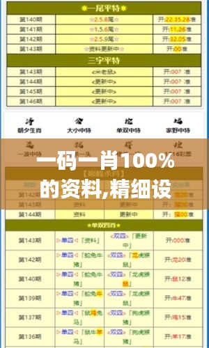 一码一肖100%的资料,精细设计计划_DX版1.673