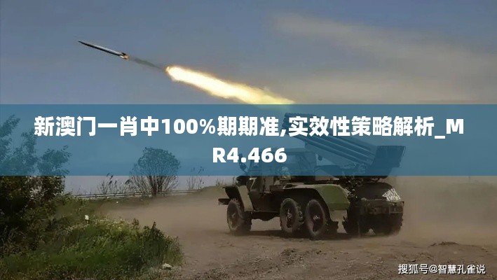 新澳门一肖中100%期期准,实效性策略解析_MR4.466