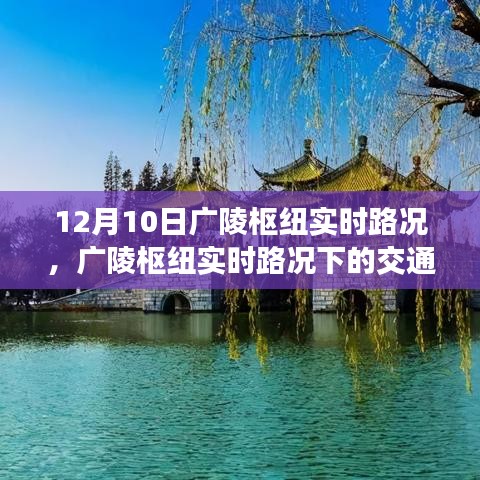 广陵枢纽实时路况分析与个人观察报告，交通现象深度解读