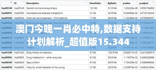 澳门今晚一肖必中特,数据支持计划解析_超值版15.344