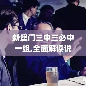 新澳门三中三必中一组,全面解读说明_限定版1.569