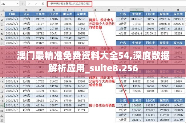 澳门最精准免费资料大全54,深度数据解析应用_suite8.256