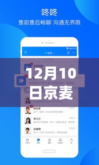 揭秘京麦实时访客功能，如何查看12月10日数据，初学者与进阶用户指南