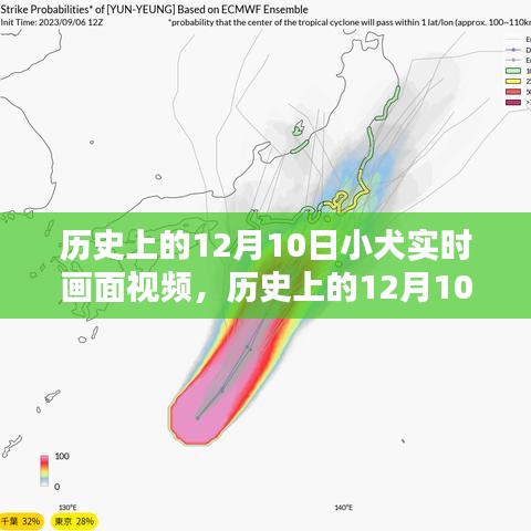 电缆支架 第240页