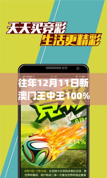 往年12月11日新澳门王中王100%期期中,实地分析数据设计_pro2.513