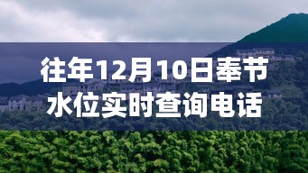 探秘小巷深处的神秘水位查询店，揭秘奉节水位实时查询专线背后的故事与往年查询电话记录