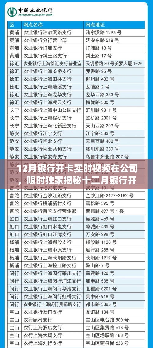 独家揭秘，十二月银行开卡现场实时记录，直击公司办卡第一线！