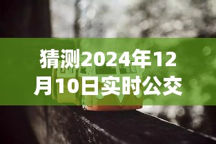 探寻自然秘境，公交116路的心灵之旅启程，预测2024年12月10日实时体验