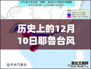 历史上的12月10日耶鲁台风，变化之路与启示录