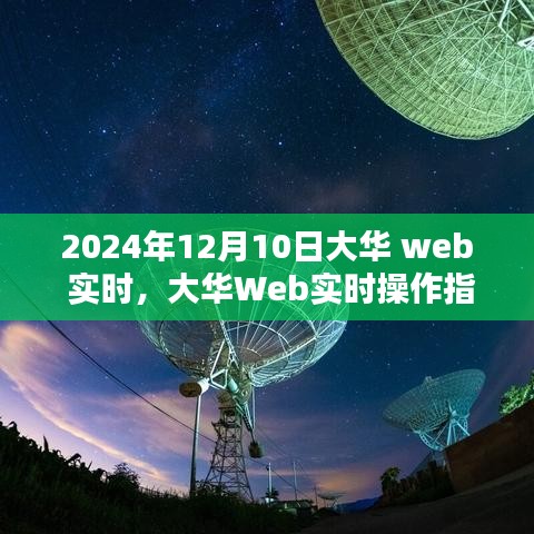 大华Web实时操作指南，初学者轻松掌握的技能（2024年12月版）