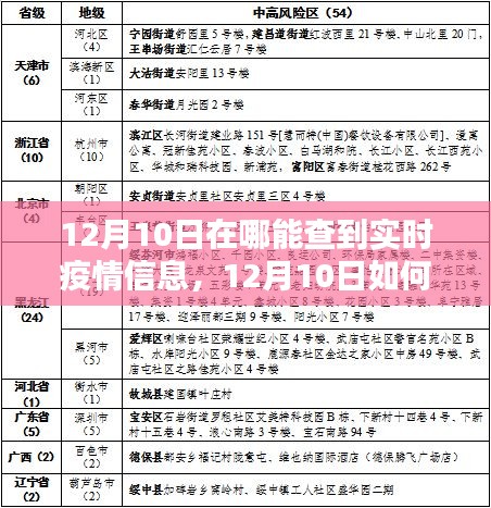 12月10日实时疫情信息获取指南，权威渠道与实用方法