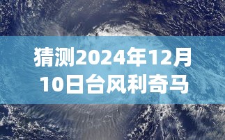 探秘小巷特色小店，台风利奇马与追踪之旅的交汇点（实时查询台风利奇马动态）