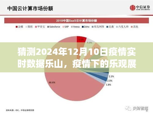 2024年乐山疫情展望与美好未来预测，学习变迁中的自信与成就