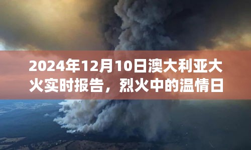 澳大利亚大火下的温情故事，爱与陪伴的力量实时报告（2024年12月10日）