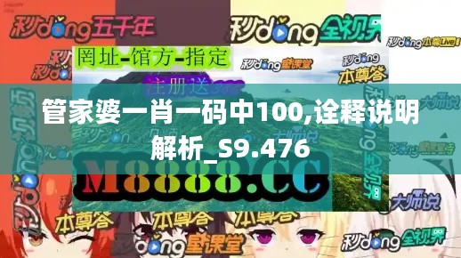 管家婆一肖一码中100,诠释说明解析_S9.476