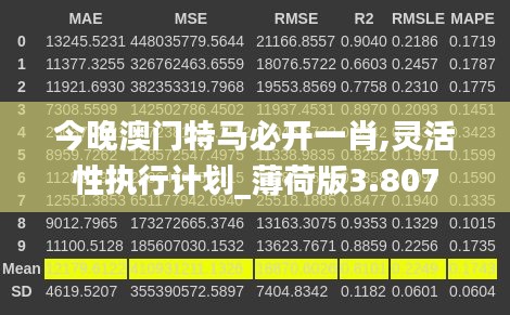 今晚澳门特马必开一肖,灵活性执行计划_薄荷版3.807