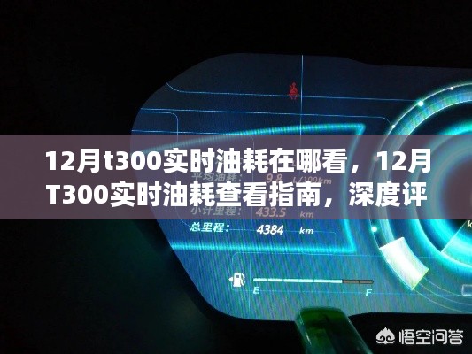 12月T300实时油耗查看指南，深度评测与介绍