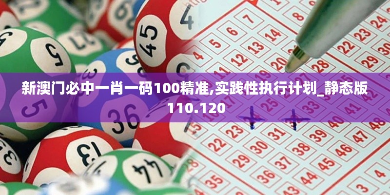 新澳门必中一肖一码100精准,实践性执行计划_静态版110.120