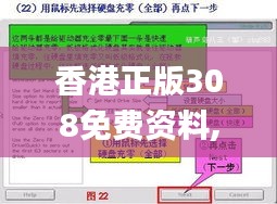 香港正版308免费资料,稳定性策略解析_10DM1.603