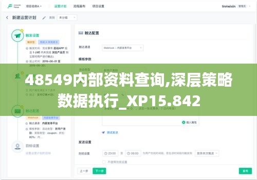 48549内部资料查询,深层策略数据执行_XP15.842