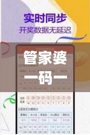 管家婆一码一肖100准,实践研究解析说明_专家版3.363