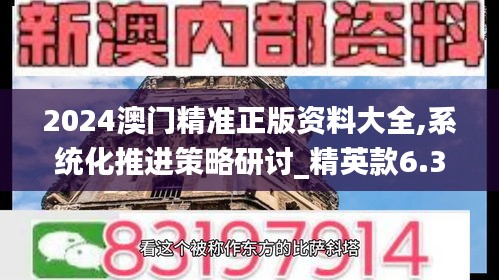 2024澳门精准正版资料大全,系统化推进策略研讨_精英款6.308