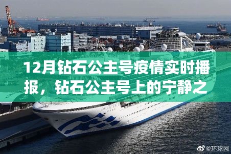 钻石公主号疫情实时播报，宁静之旅中的挑战与心声