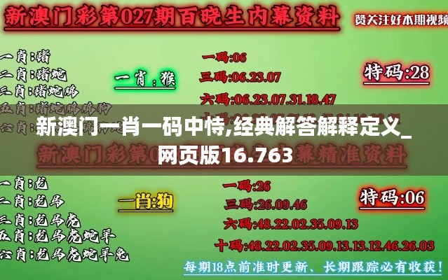 新澳门一肖一码中恃,经典解答解释定义_网页版16.763