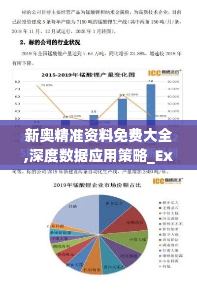 新奥精准资料免费大全,深度数据应用策略_Executive2.404