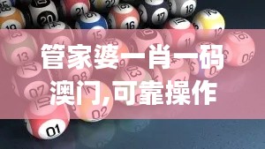 管家婆一肖一码澳门,可靠操作策略方案_精装版1.122