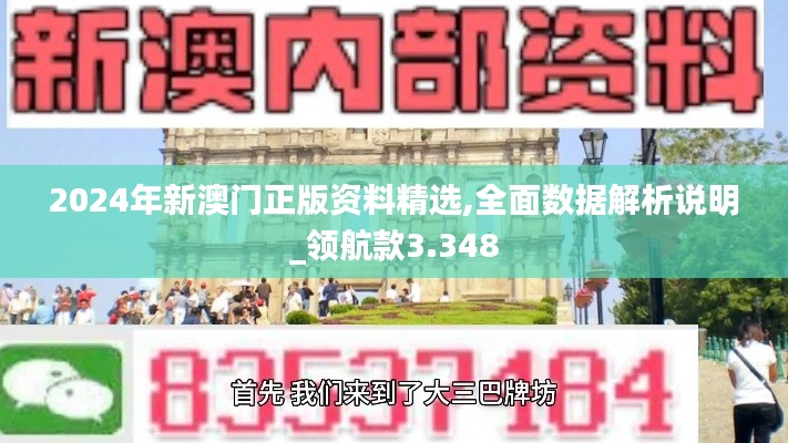 2024年新澳门正版资料精选,全面数据解析说明_领航款3.348