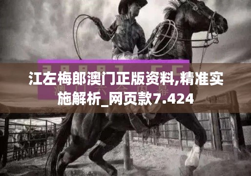 江左梅郎澳门正版资料,精准实施解析_网页款7.424