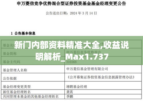 新门内部资料精准大全,收益说明解析_Max1.737