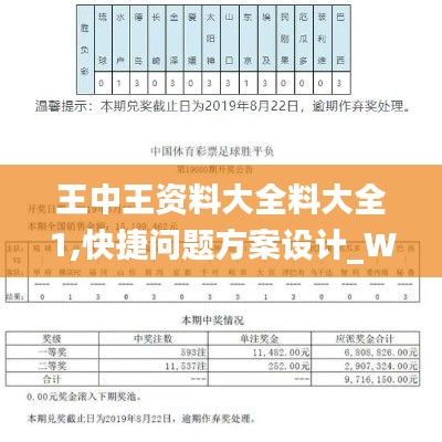 王中王资料大全料大全1,快捷问题方案设计_W3.593