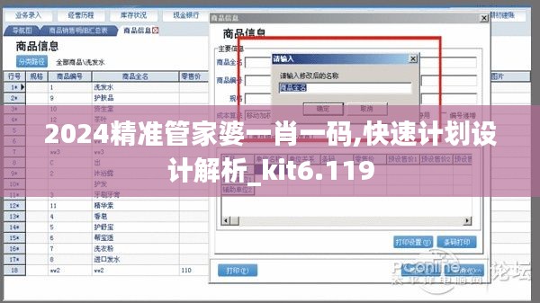 2024精准管家婆一肖一码,快速计划设计解析_kit6.119