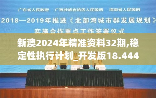 新澳2024年精准资料32期,稳定性执行计划_开发版18.444