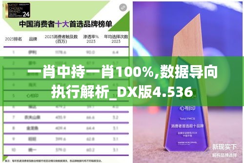 一肖中持一肖100%,数据导向执行解析_DX版4.536